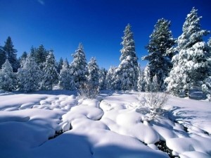 Снег как явление природы